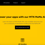 MTN API